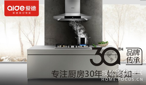 爱德厨卫电器 参与中国十大抽油烟机品牌评选