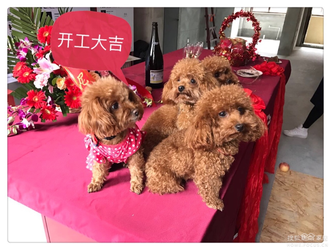 星杰五套工地开工和特朗普当选都上热搜了_搜