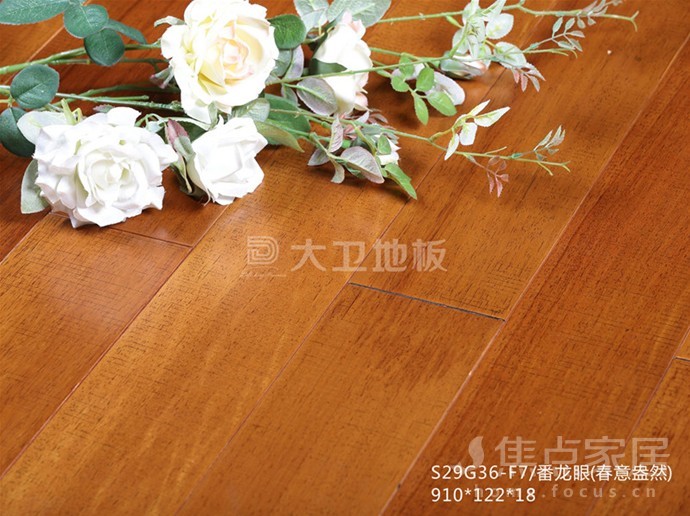 大卫地板 品格调享生活